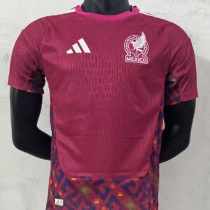 Mexico Goalkeeper Pink Player Jersey